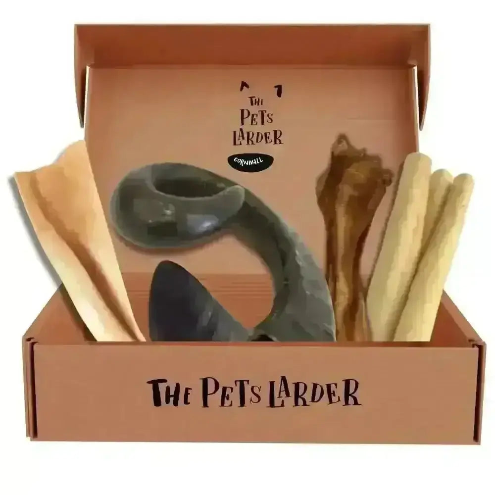 Tough Chew Box with natural pet bone chew toy and black ceramic bowl