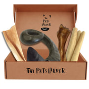 Tough Chew Box with natural pet bone chew toy and black ceramic bowl