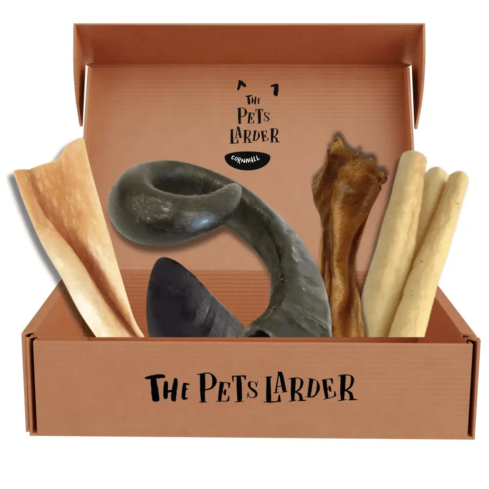 Tough Chew Box with natural pet bone chew toy and black ceramic bowl