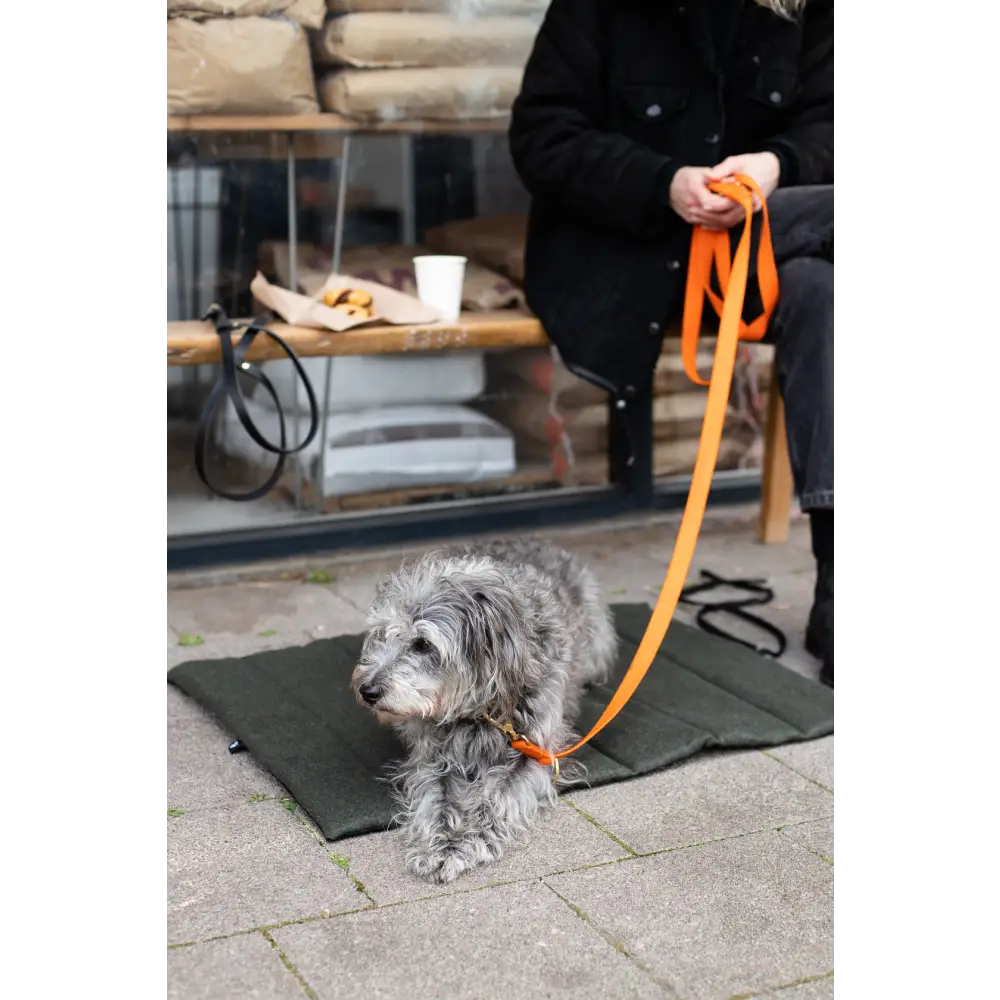 Travel Mat