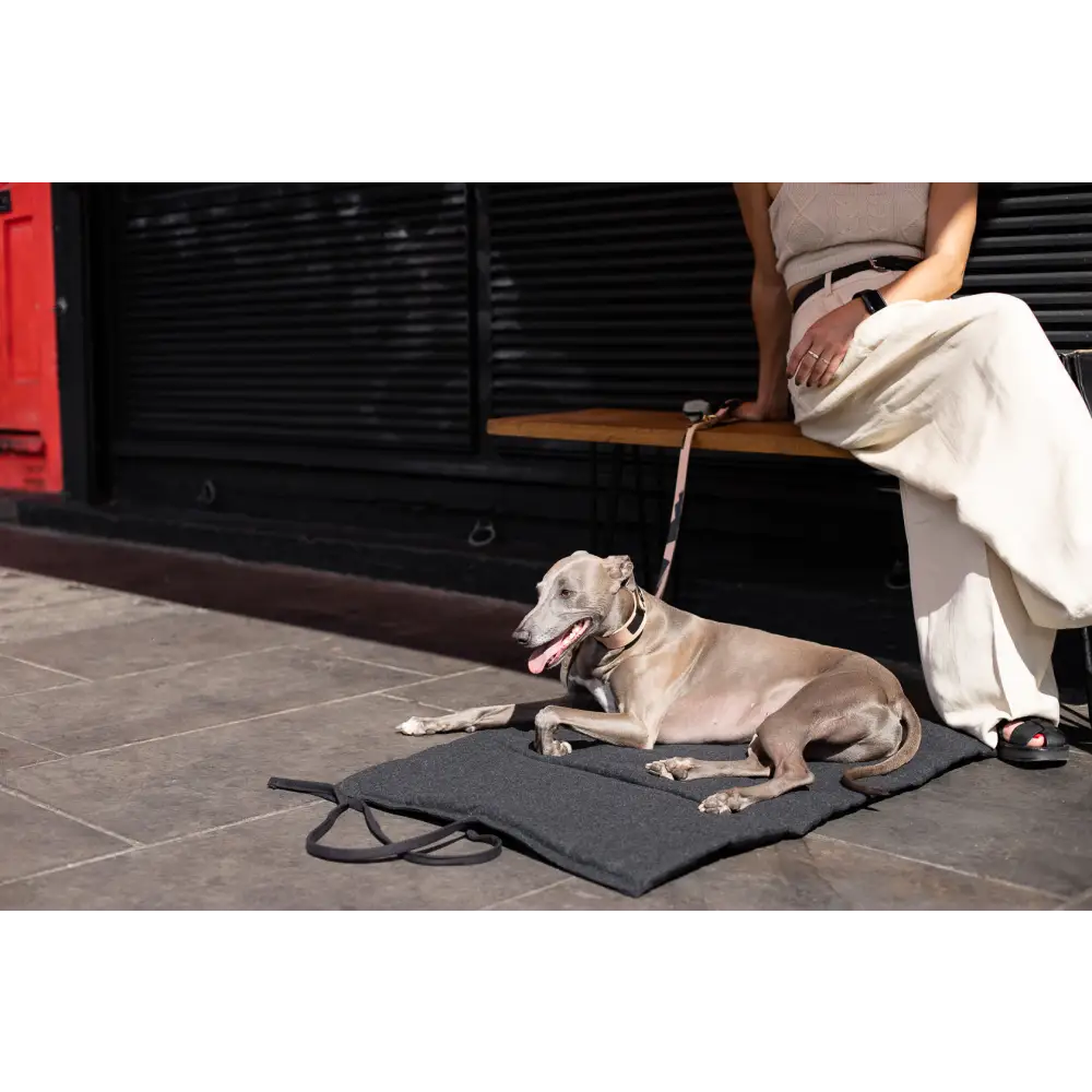 Travel Mat