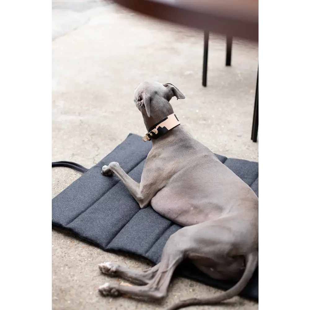 Travel Mat - Small / Anthracite / No strap