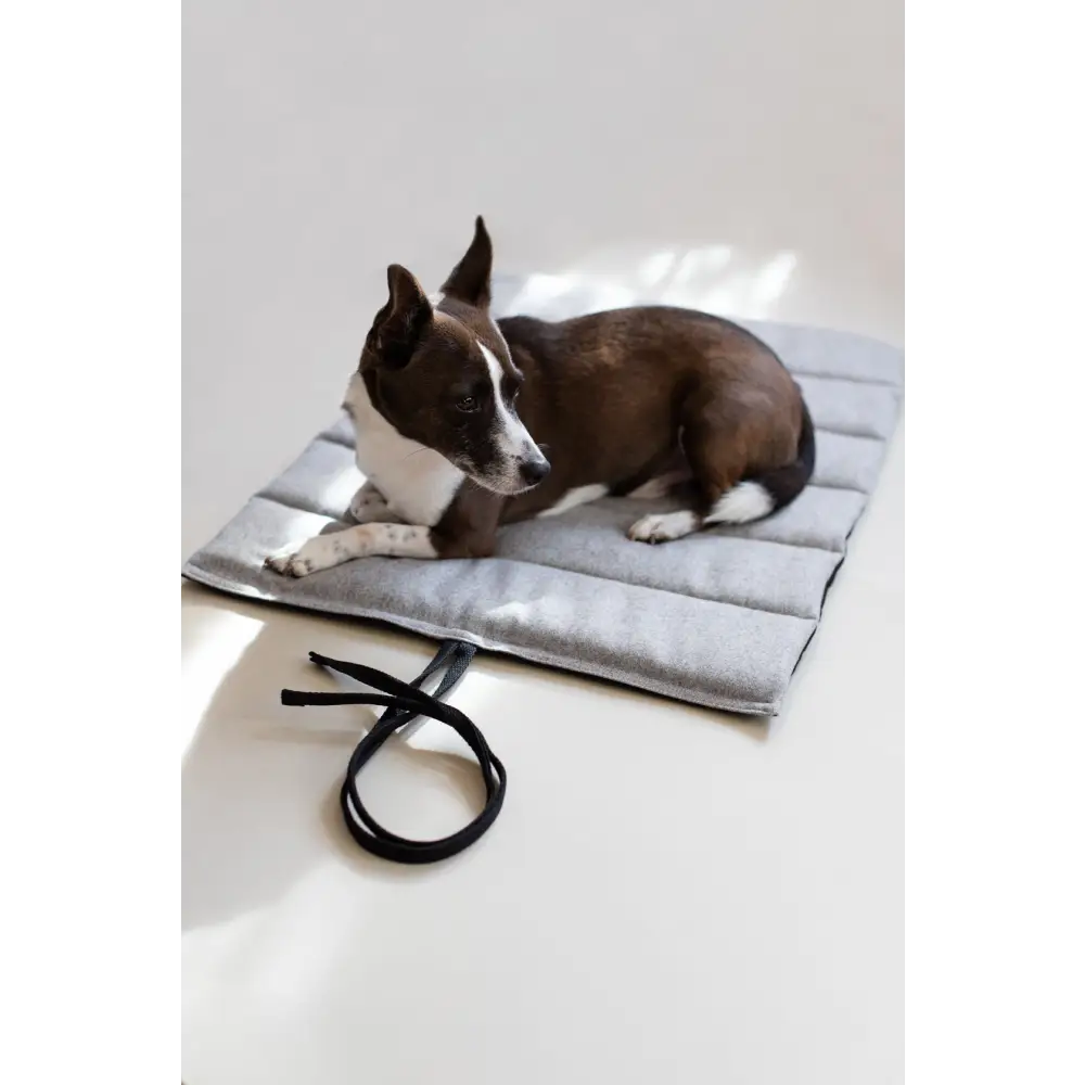 Travel Mat - Small / Stone / No strap