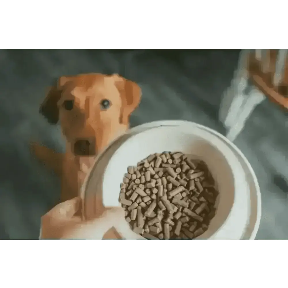 Tribal’s Fresh Pressed Adult Chicken dog food in white bowl held by hand