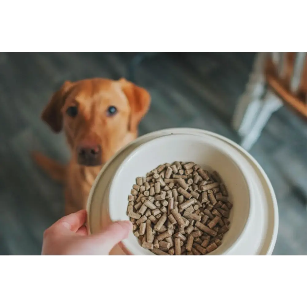 Tribal’s Fresh Pressed Adult Salmon cold pressed digestible kibble in white bowl
