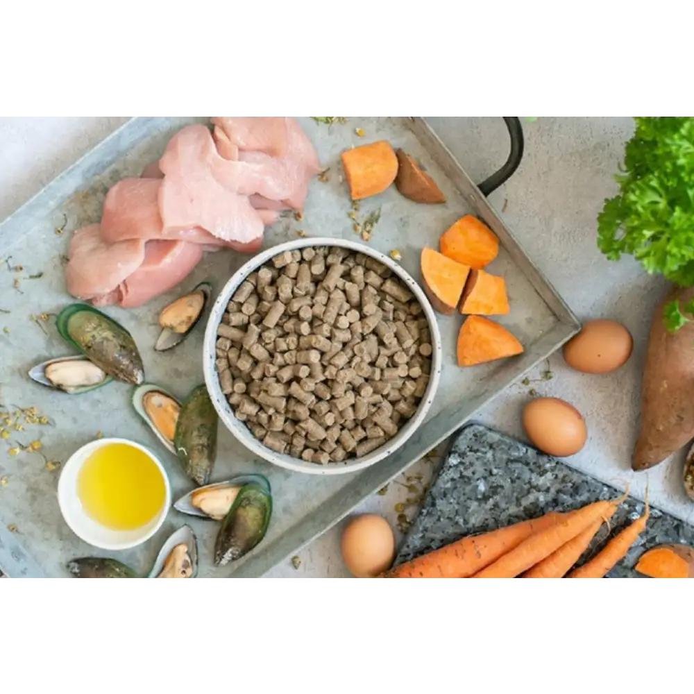 Tribal Fresh Pressed Adult Salmon cold pressed digestible kibble bowl