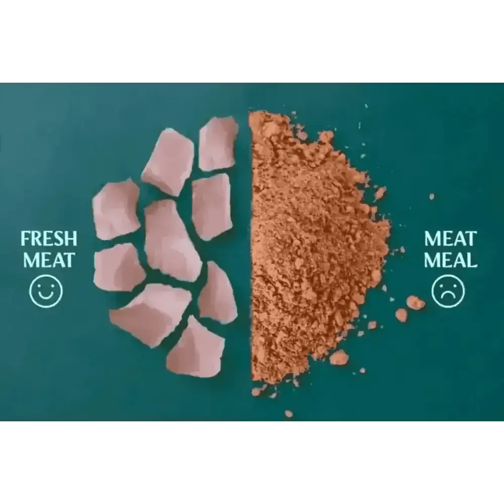 Tribal’s fresh pressed adult salmon: pinkish raw meat chunks in digestible kibble
