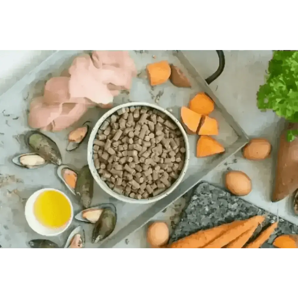 Tribal Fresh Pressed Adult Salmon cold pressed digestible kibble bowl