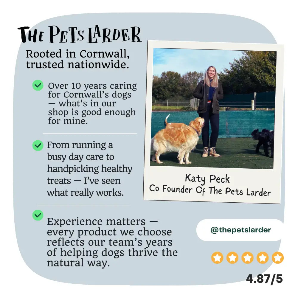 Golden curly-haired dog in red collar enjoying Pets Larder turkey necks outdoors