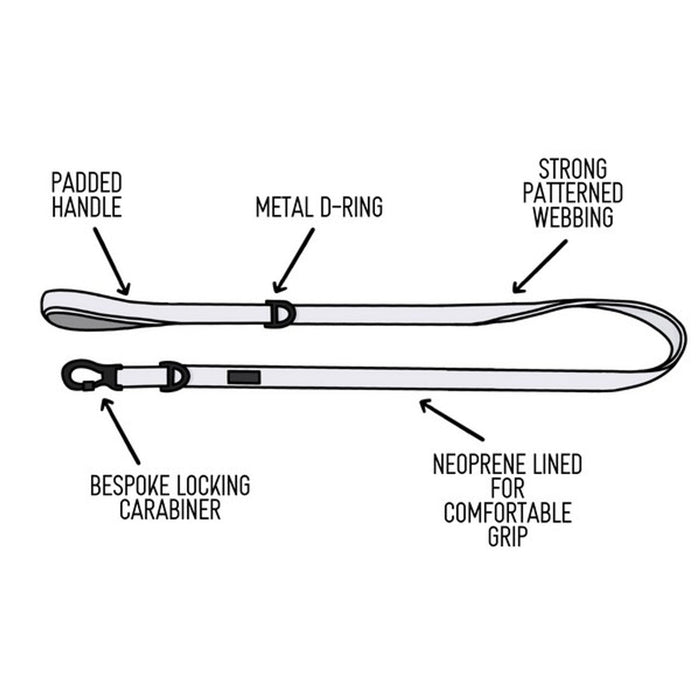 Twiggy Tags Adventure Dog Lead - Aurora - Dog Accessories