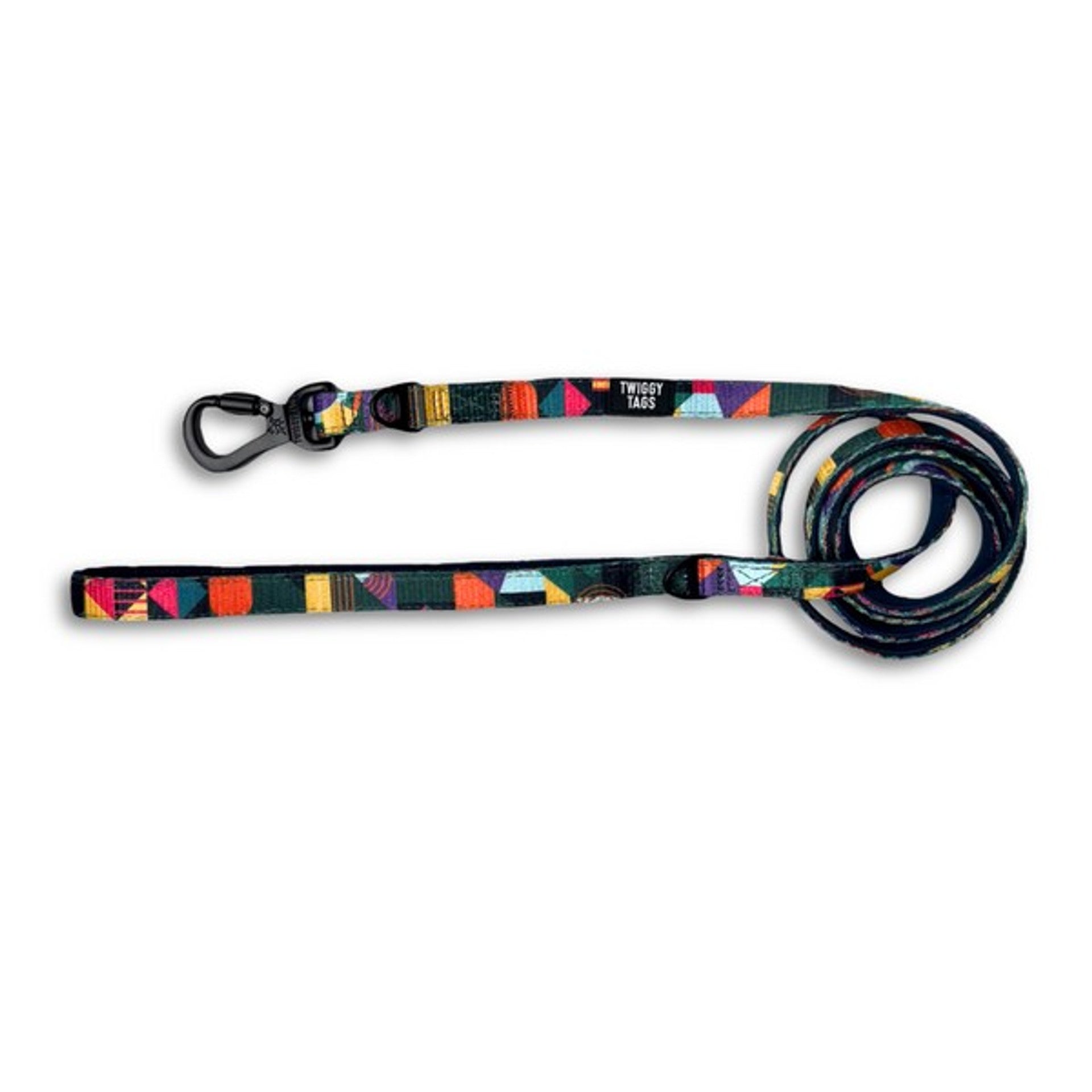 Twiggy Tags Adventure Dog Lead - Aurora - Dog Accessories
