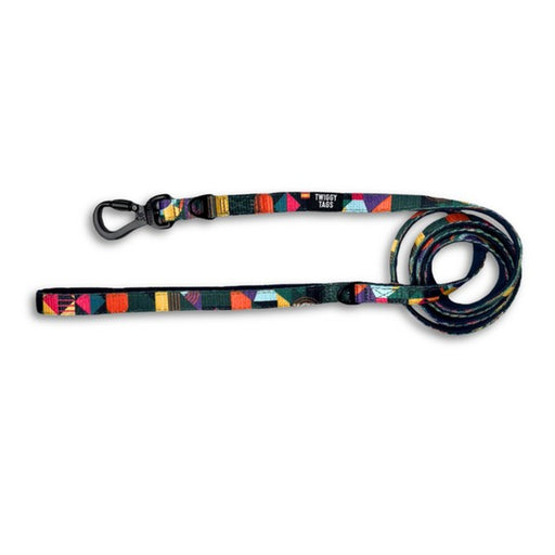 Twiggy Tags Adventure Dog Lead - Aurora - Dog Accessories