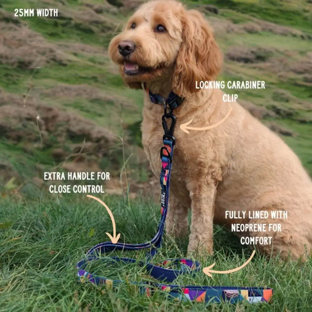 Twiggy Tags Adventure Dog Lead with 25mm Navy Blue Leash and Close Control Handle