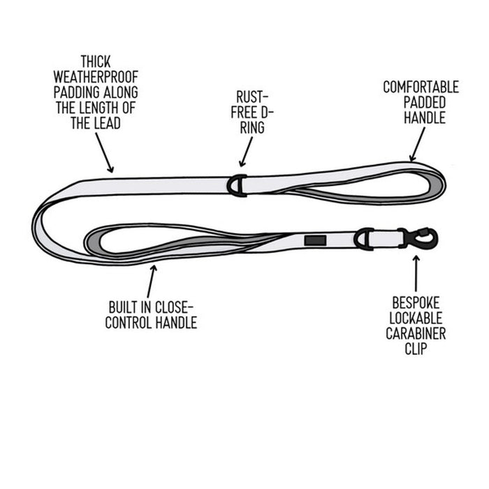 Twiggy Tags Adventure Dog Lead With Close Control Handle - Aurora - Dog Collars and Leads