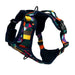 Twiggy Tags Adventure Harness - Aurora - Dog Accessories