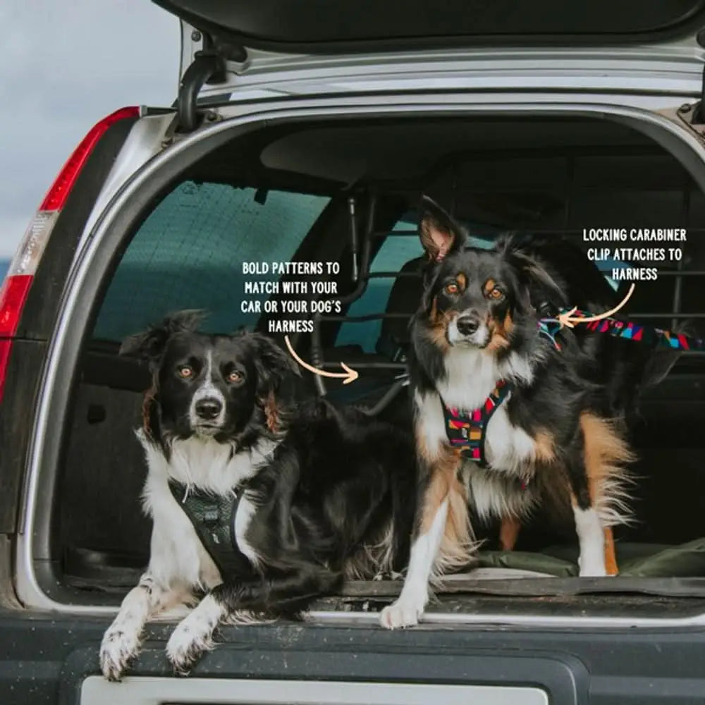 Twiggy Tags Adventure seatbelt Aurora with 2019 Ford F-150 bed cover