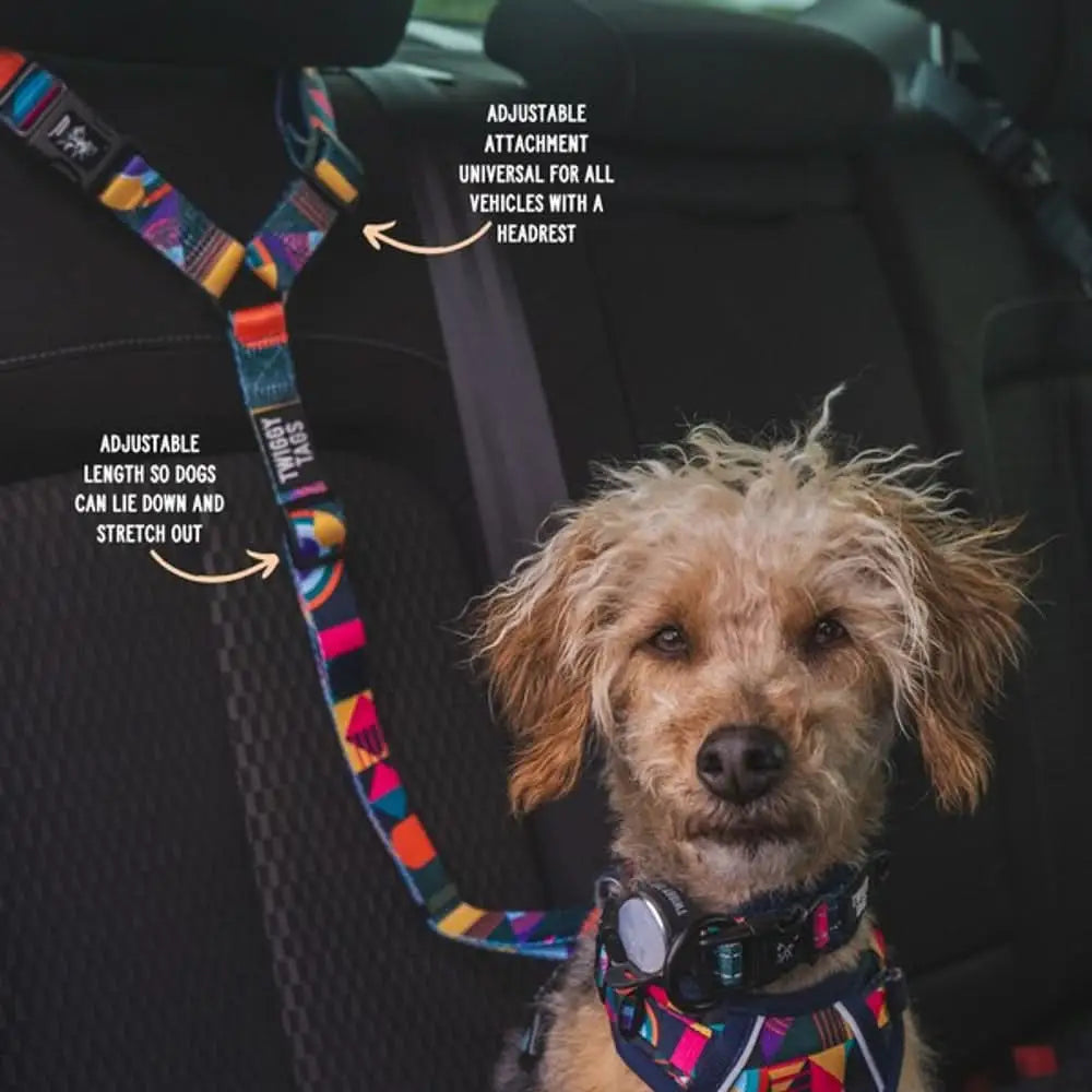 Twiggy Tags Adventure multi-colored adjustable dog harness with geometric patterns and matching leash