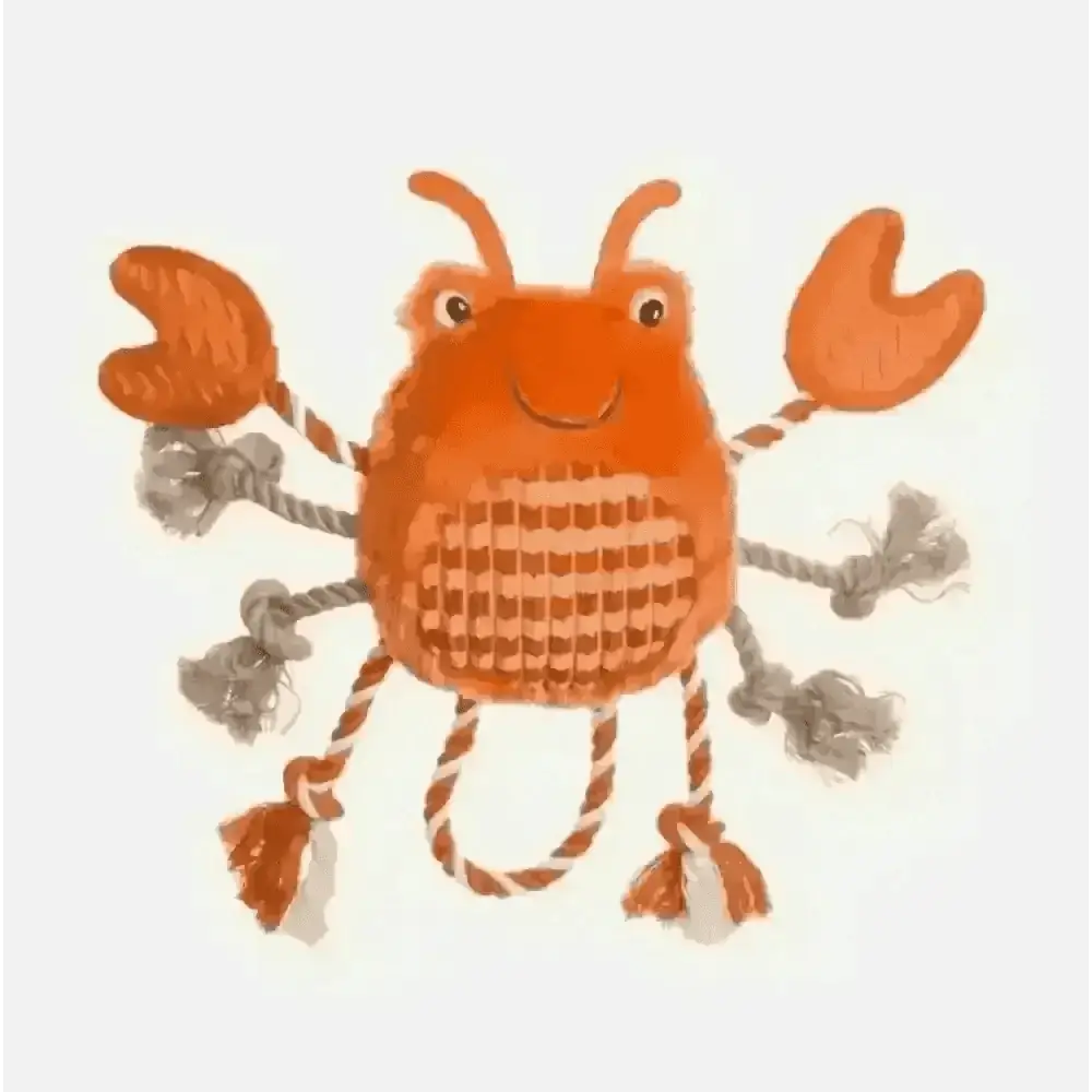 Under the Sea Crab - Dog Toys | Natural Pet Shop