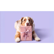 Pink gift box with silver ribbon for Vegetable Chew Selection Bundle featuring apple dental sticks