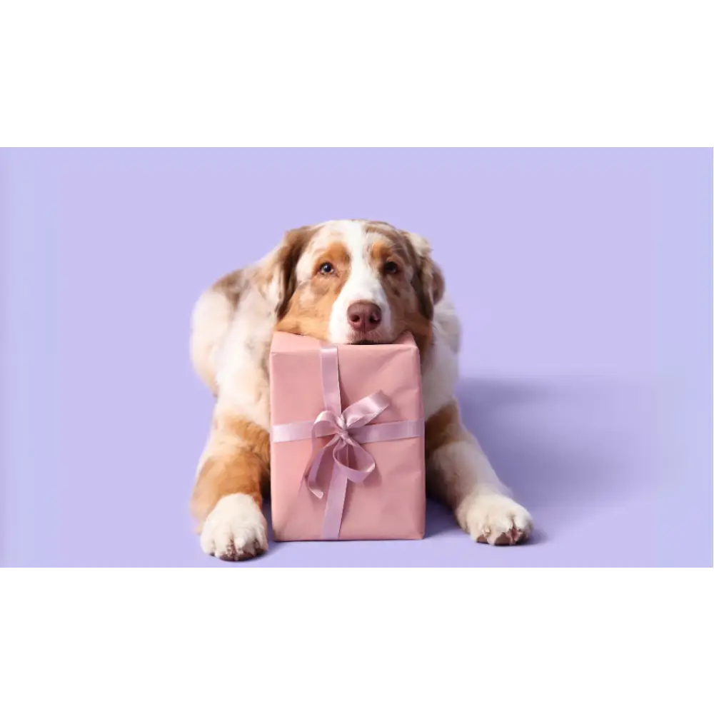 Pink gift box with silver ribbon for Vegetable Chew Selection Bundle featuring apple dental sticks