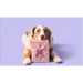 Vegetable Chew Selection Bundle - Selection Bundle - Natural Dog Chew