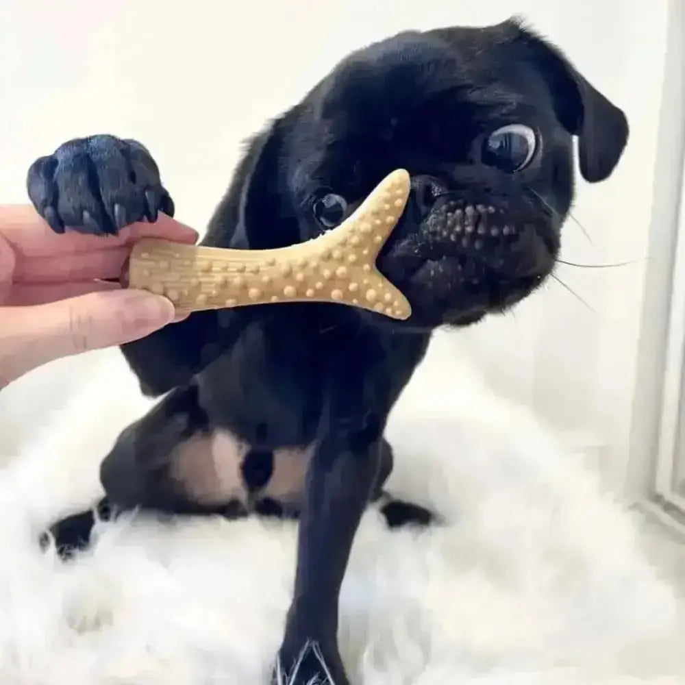 Bone-shaped dog chew toy with textured surface from natural wood in Vegetable Chew Variety Box