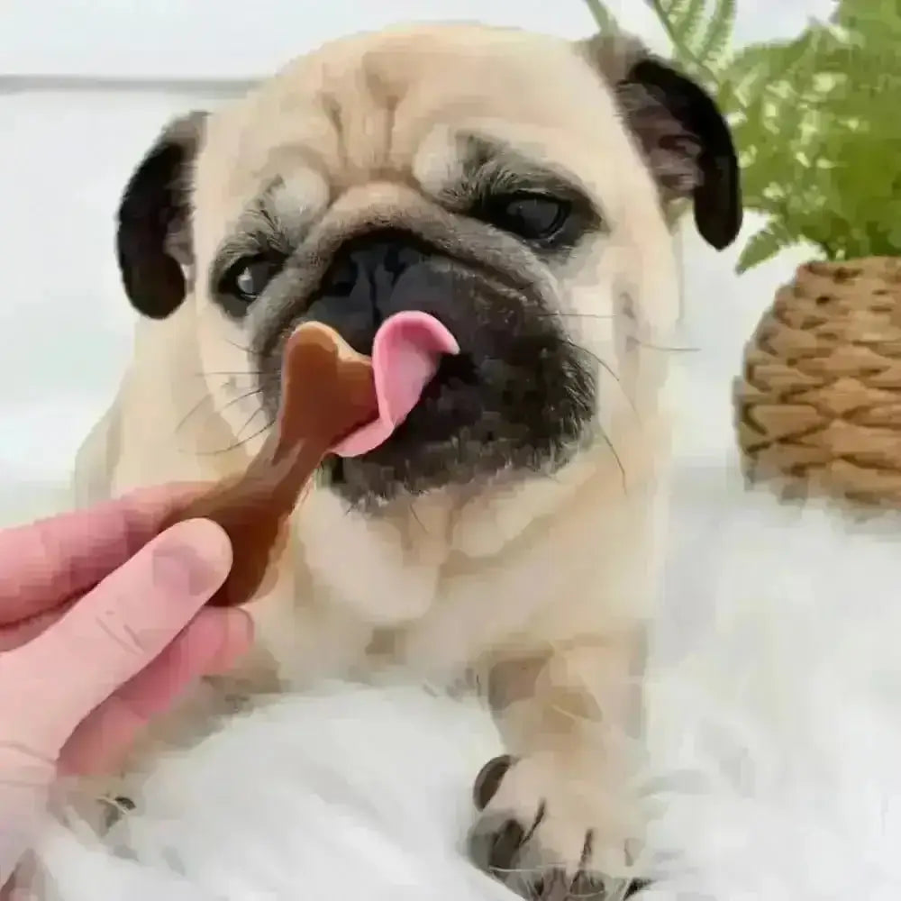 Brown leather bone-shaped vegetable chew treat from the Pupperoni bones chew variety box