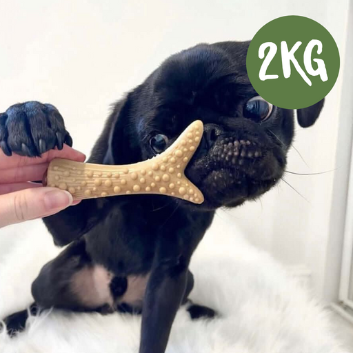 Vegetable Peanut Butter & Banana Filled Antler Chew For Dogs - 2kg Bag - Natural Dog Chew