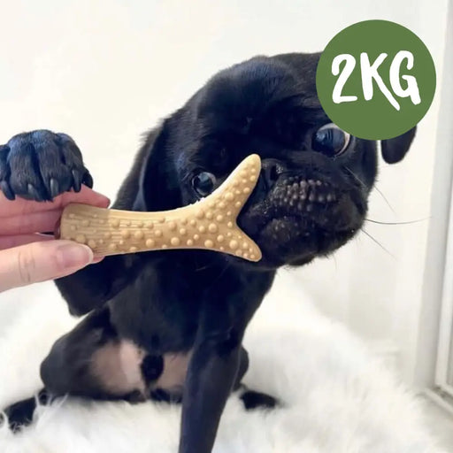 Vegetable Peanut Butter & Banana Filled Antler Chew For Dogs - 2kg Bag - Natural Dog Chew