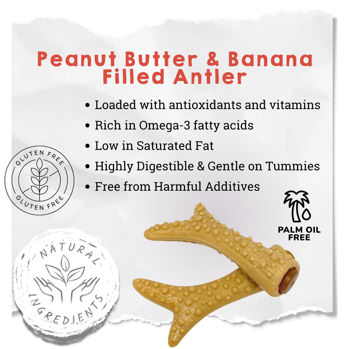 Vegetable Peanut Butter & Banana Filled Antler Chew For Dogs - Natural Dog Chew