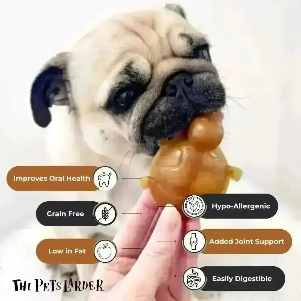 Golden peanut butter turtle chew for dogs with joint support and dental health