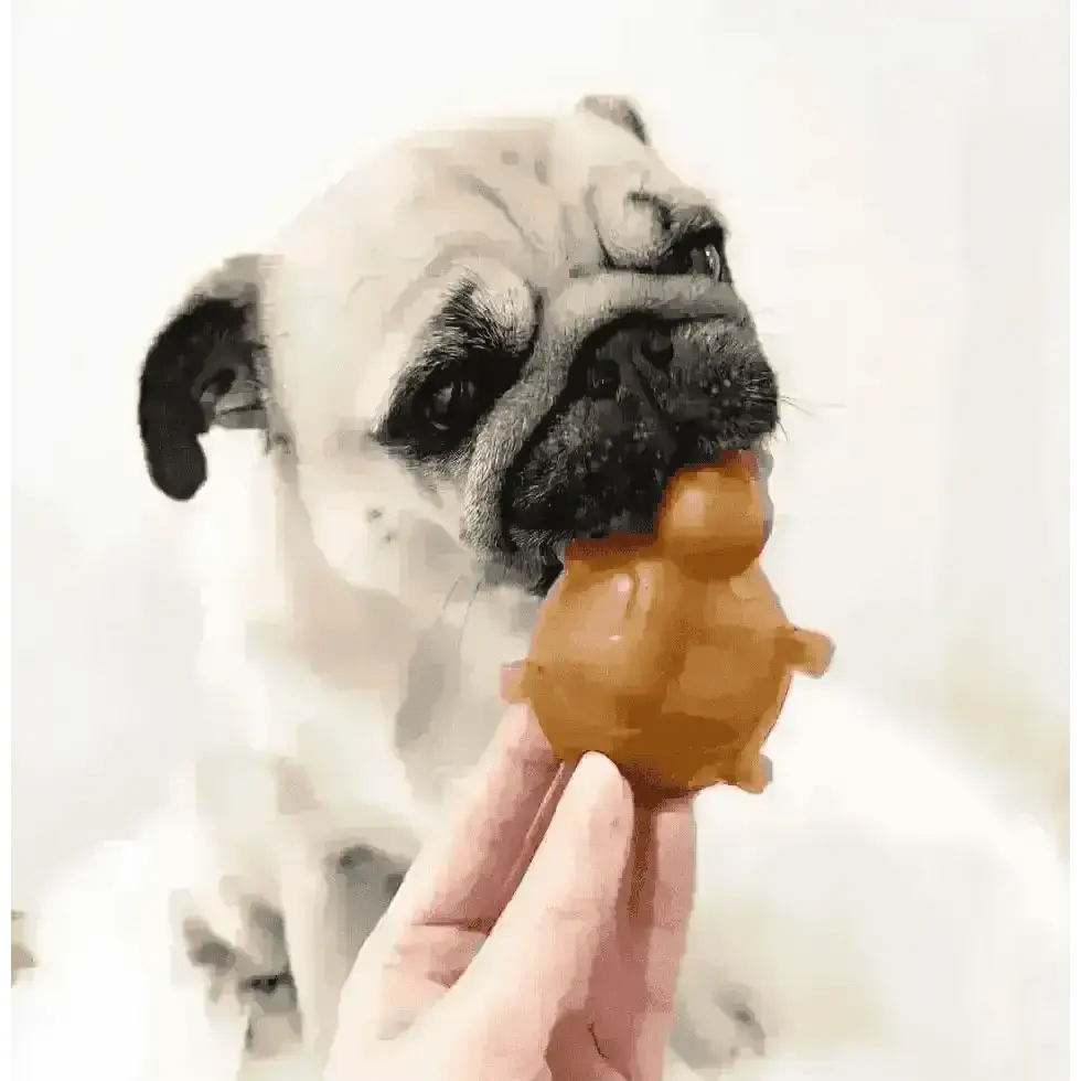 Golden peanut butter turtle chew toy for dogs dental health