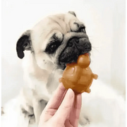 Golden peanut butter turtle chew toy for dogs dental health