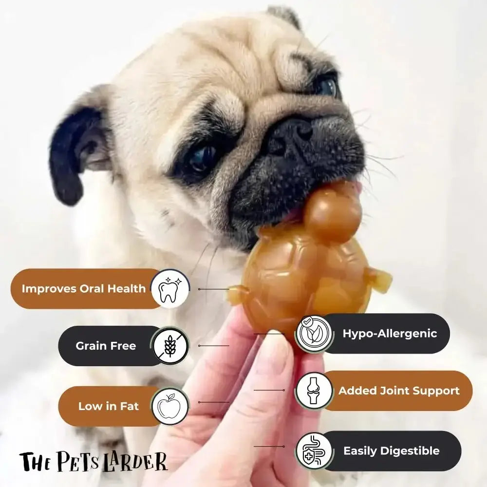 Golden peanut butter turtle chew for dogs with joint support and dental health
