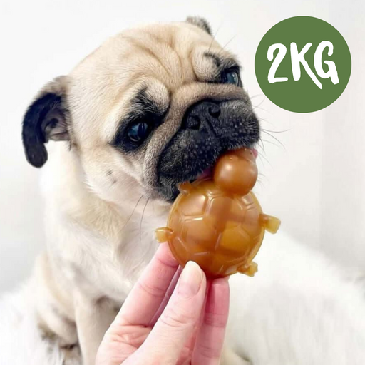 Vegetable & Peanut Butter Turtle Chew For Dogs - 2kg Bag - Natural Dog Chew