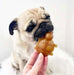 Vegetable & Peanut Butter Turtle Chew For Dogs - 2kg Bag - Natural Dog Chew