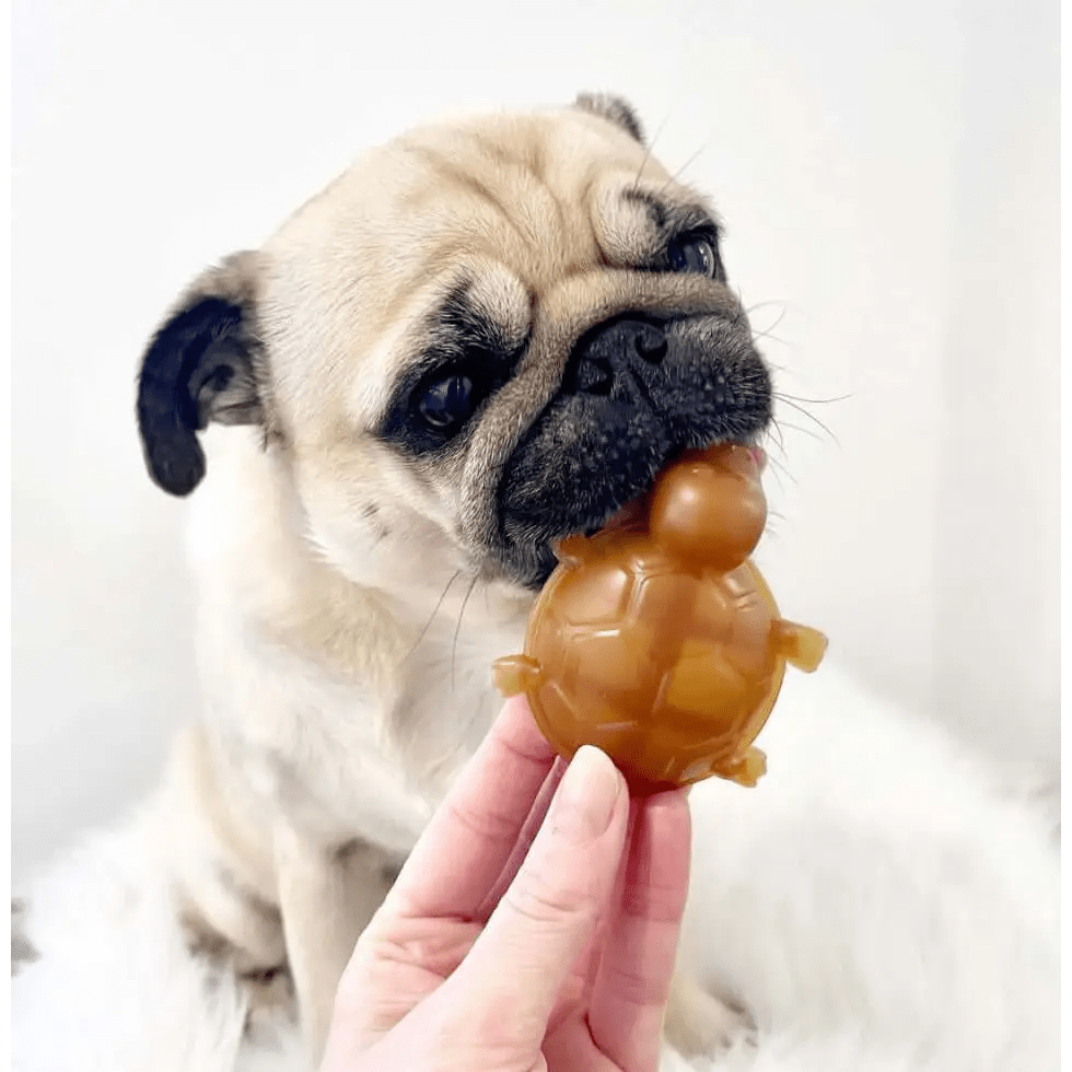 Golden peanut butter turtle chew toy for dogs dental health