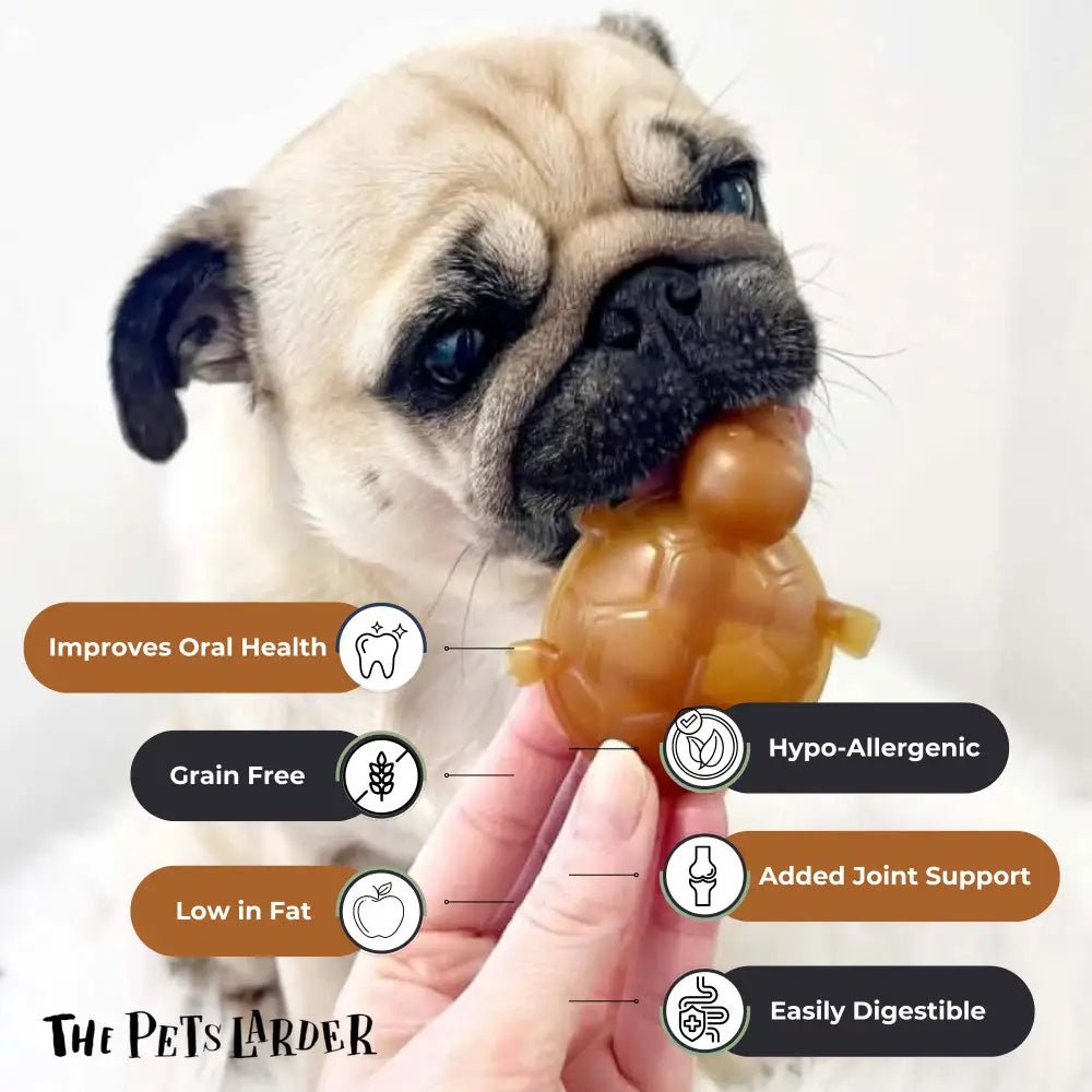 Golden peanut butter turtle chew for dogs with joint support and dental health
