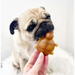 Vegetable & Peanut Butter Turtle Chew For Dogs - Natural Dog Chew