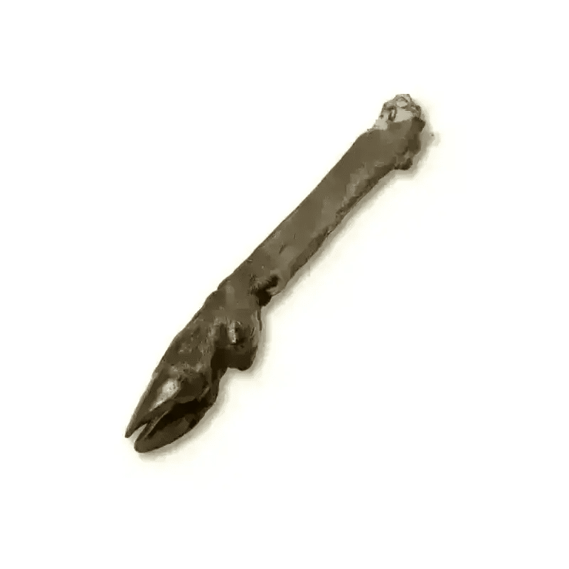 Venison Deer Leg - Natural Dog Chew | Pet Shop