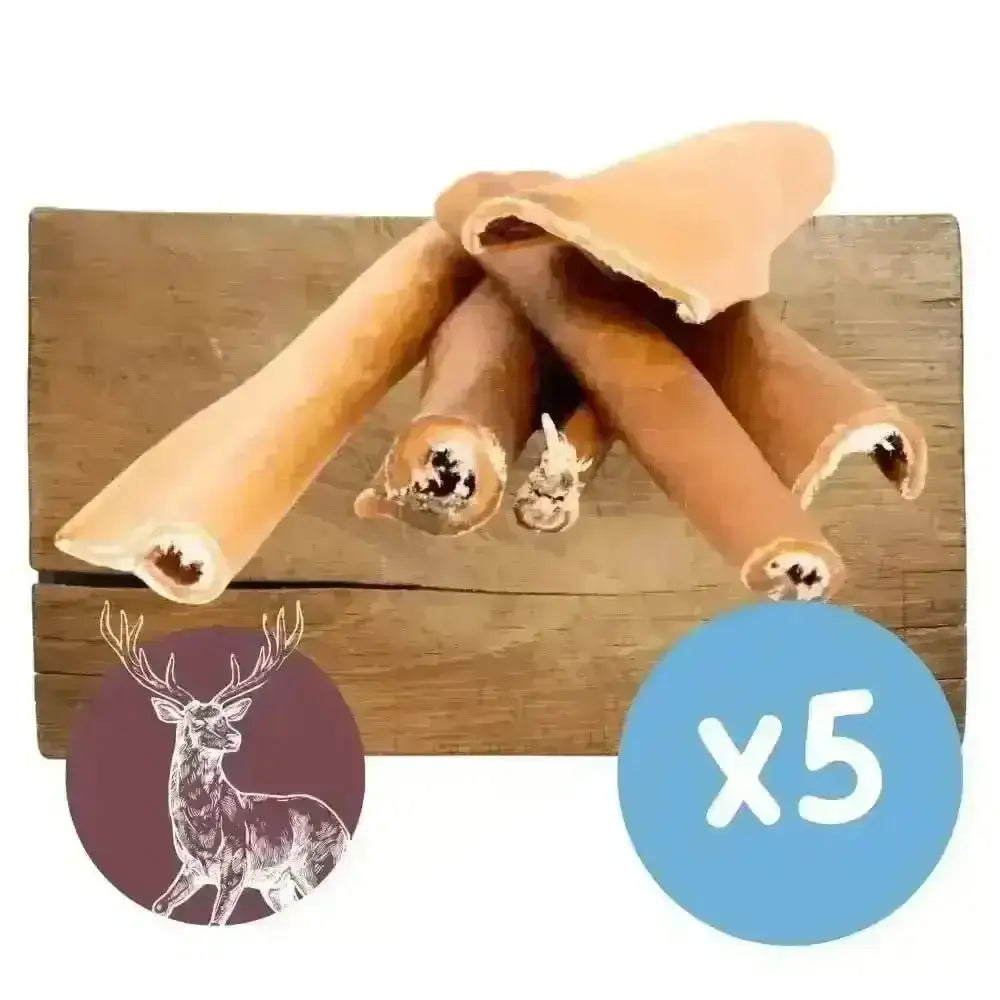 Five-pack of deer antler dog chews in natural brown with white marrow, ideal for venison skin natural meat diets