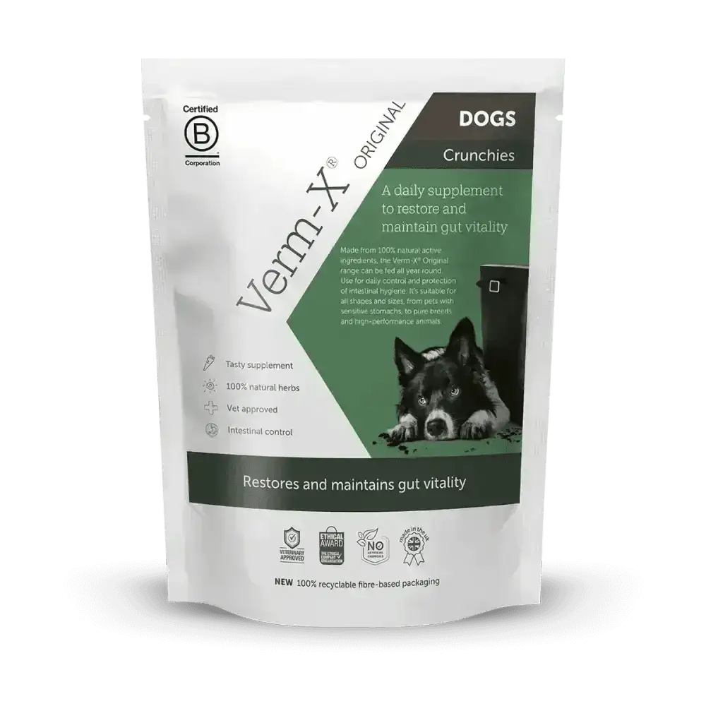 Verm X Treats for Dogs 100g with natural active ingredients in green and white packaging