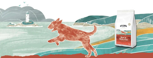 A vibrant, red, stylized kangaroo mid-leap.