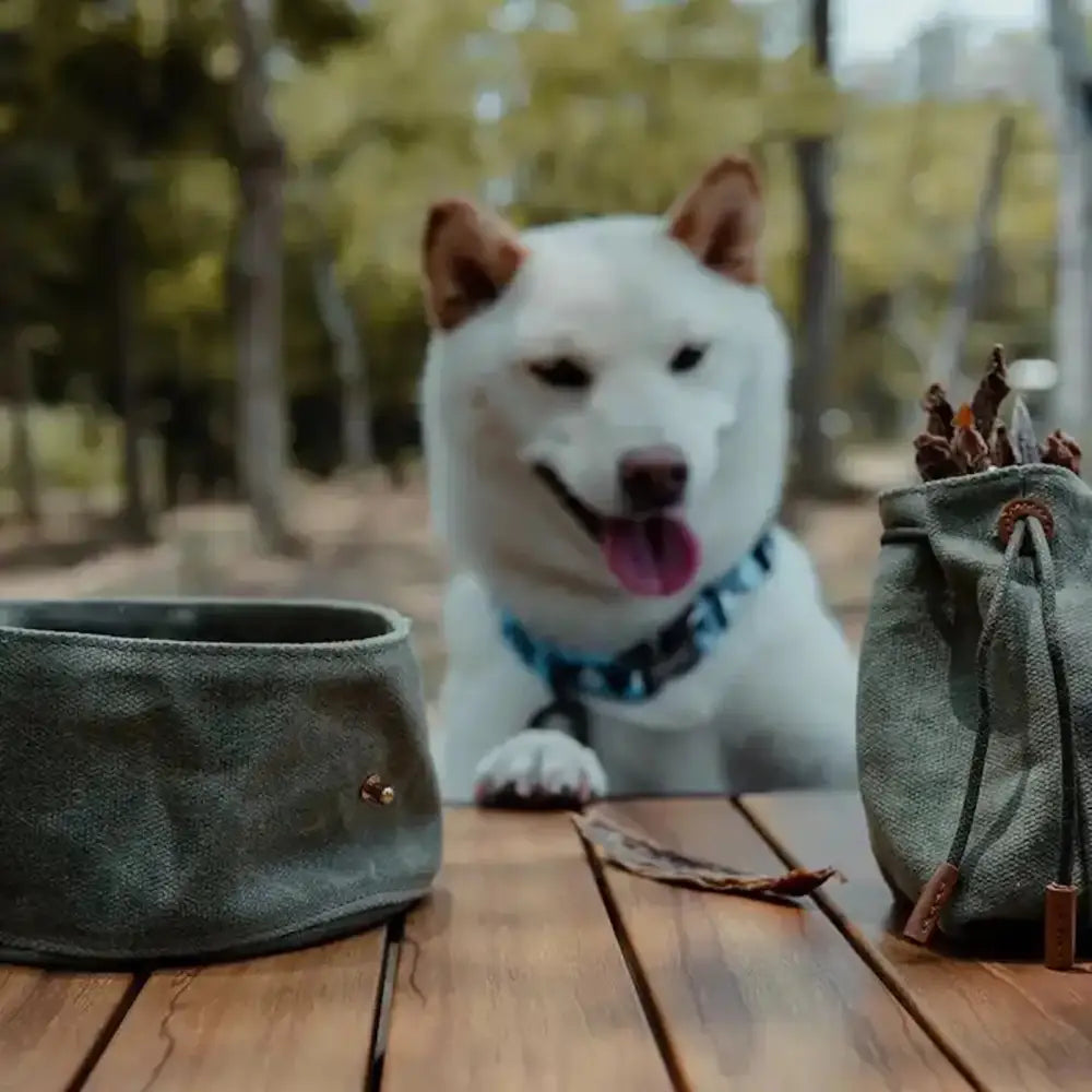 Waxed Canvas Treat Bag - Green | Natural dog accessories