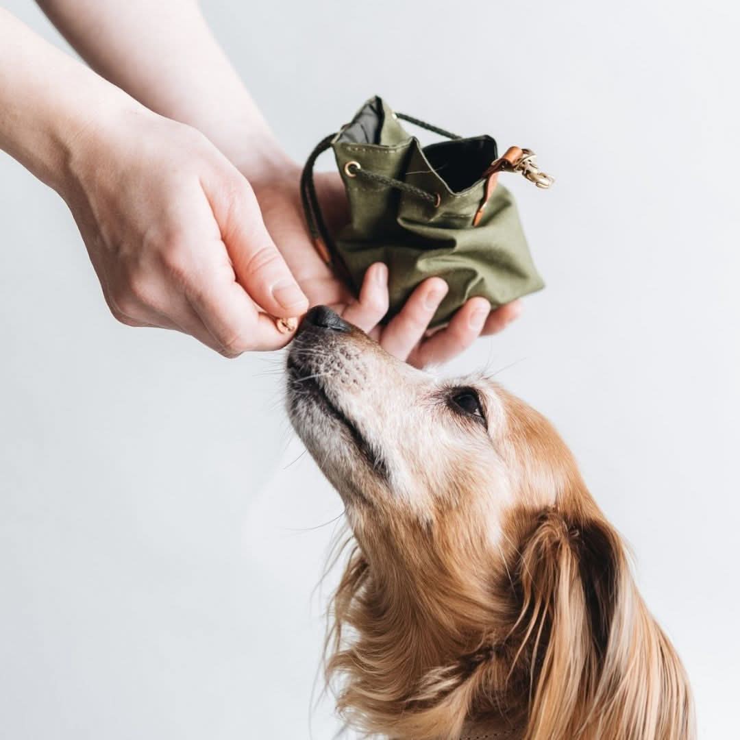 Waxed Canvas Treat Bag - Green | Natural dog accessories