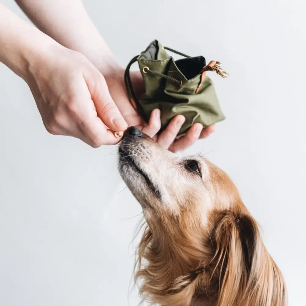 Waxed Canvas Treat Bag - Green | Natural dog accessories
