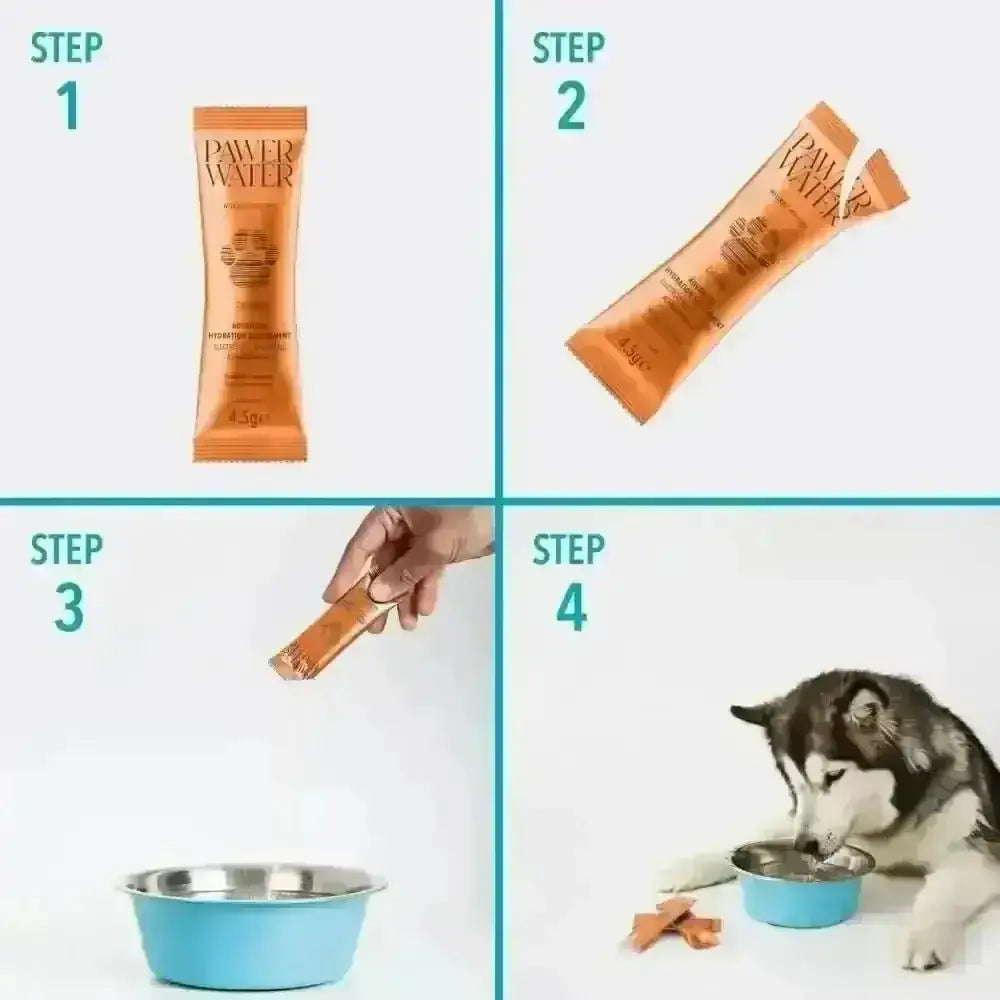 Orange tube of paw water dog treats with salmon-colored treat in The Wellness Collection pouch