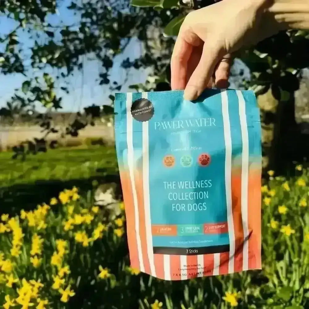 Paw and water wellness collection for dogs with hydrolysed bovine collagen in colorful packaging