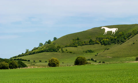 Dog Friendly walks in Wiltshire South West