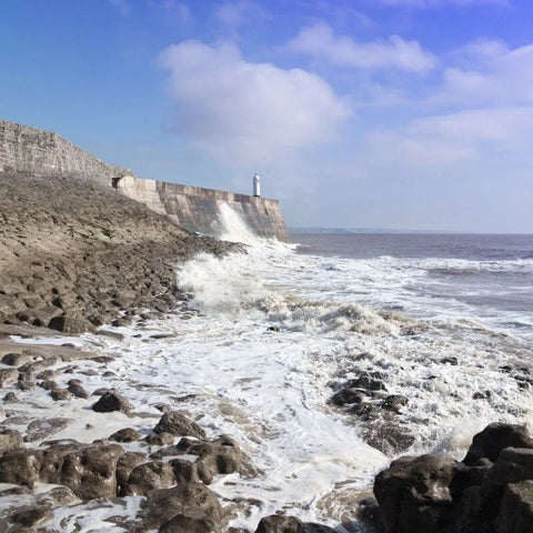 Porthcawl Wales With Dogs
